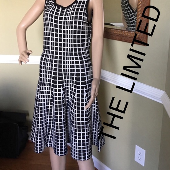 The Limited Dresses & Skirts - The Limited